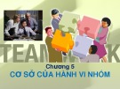 Bài giảng Chương 5: Cơ sở của hành vi nhóm