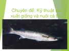 Chuyên đề: Kỹ thuật sản xuất giống và nuôi cá đối