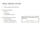 Bài giảng Phẫu thuật cắt bỏ