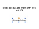 Bài giảng Di căn gan của các khối u thần kinh nội tiết