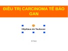 Bài giảng Điều trị Carcinoma tế bào gan