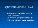 Bài giảng Quy phạm pháp luật