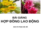 Bài giảng Hợp đồng lao động - NCS.TS. Phan Hải Hồ