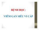 Bài giảng bệnh học: Viêm gan siêu vi cấp