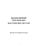 Bài giảng chuyên đề Thần kinh học: Đại cương đột quỵ não - GS.TS. Nguyễn Văn Chương