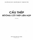 Cẩm nang Cầu thép bêtông cốt thép liên hợp: Phần 2