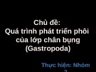 Chủ đề: Quá trình phát triển phôi của lớp chân bụng (Gastropoda)