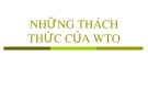 Bài giảng Những thách thức của WTO