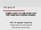 Bài giảng Các gợi ý về Chiến lược và giải pháp cho Việt Nam sau khủng hoảng - PGS.TS. Nguyễn Trọng Hoài
