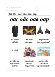 Bài 13: Oac, oăc, oao, oap