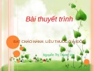 Bài thuyết trình: Bát cháo hành, liều thuốc giải độc - Nguyễn Thị Thanh Mai