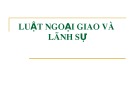 Bài giảng Luật Ngoại giao và lãnh sự - ĐH Kinh tế TP.HCM