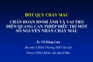 Bài giảng Đột quỵ chảy máu - Chẩn đoán hình ảnh và vai trò điện quang can thiệp điều trị một số nguyên nhân chảy máu - TS. Vũ Đăng Lưu