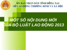 Bài giảng Một số nội dung mới của bộ Luật Lao động 2013