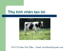 Bài giảng Thụ tinh nhân tạo bò - PGS.TS. Đàm Văn Tiện