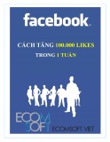 Cách tăng 100.000 likes trong một tuần