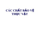 TTthuốc bảo vệ thực vật