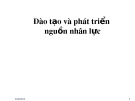 Bài giảng Đào tạo - Phát triển nguồn nhân lực