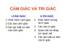 Bài giảng Tâm lý học: Cảm giác và tri giác