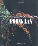 Hướng dẫn nuôi trồng phong lan: Phần 2