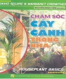 Hướng dẫn chăm sóc cây cảnh trong nhà: Phần 1