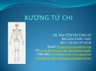 Bài giảng Xương tứ chi