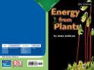 Energy from plants