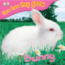 See how they grow: Bunny