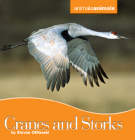 Animals: Cranes and Stork