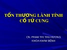 Bài giảng Tổn thương lành tính cổ tử cung - CN. Phạm Thị Thu Hương