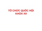 Bài giảng Tổ chức Quốc hội khóa XII