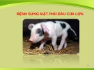 Bài giảng Bệnh sưng mặt phù đầu của lợn