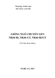 Giống ngô biến đổi gen NK66 Bt, NK66 GT, NK66 Bt/GT  - ThS. Phan Anh Thế