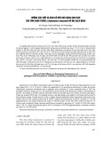 Ảnh hưởng của tuổi và kích cỡ đến khả năng sinh sản của tôm chân trắng (Litopenaeus vannamei) bố mẹ sạch bệnh