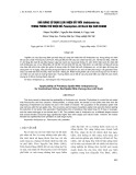 Khả năng sử dụng loài nhện bắt mồi Amblyseius sp. trong phòng trừ nhện đỏ Panonychus citri Koch hại cam chanh