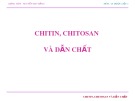 Bài giảng Lý thuyết dược liệu 1: Chitin, chitosan và dẫn chất - TS. Nguyễn Thu Hằng