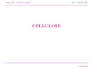 Bài giảng Lý thuyết dược liệu 1: Cellulose - TS. Nguyễn Thị Thu Hằng