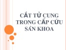 Bài giảng Cắt tử cung trong cấp cứu sản khoa