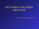 Bài giảng Đứt đoạn cung động mạch chủ - ThS.BS. Phan Hoàng Thủy Tiên