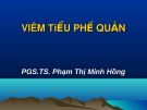 Bài giảng Viêm tiểu phế quản - PGS.TS. Phạm Thị Minh Hồng