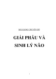 Bài giảng chuyên đề: Giải phẫu và sinh lý não