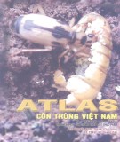 Tập 1: Côn trùng gây hại và thiên địch của chúng trên cây thực phẩm - Atlas côn trùng Việt Nam: Phần 1