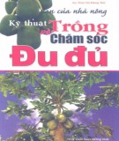 Kỹ thuật trồng và chăm sóc đu đủ - Bạn của nhà nông: Phần 1