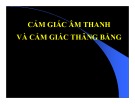 Bài giảng Cảm giác âm thanh và cảm giác thăng bằng (tt)