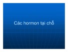 Bài giảng Các hormon tại chỗ