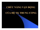 Bài giảng Chức năng vận động của hệ thần kinh trung ương