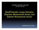 Bài giảng Small Intestine, Large Intestine Superior Mensenteric Artery and Inferior Mensenteric Artery - BS. Hoàng Văn Sơn