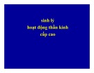 Bài giảng Sinh lý hoạt động thần kinh cấp cao