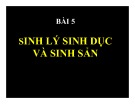 Bài giảng Bài 5: Sinh lý sinh dục và sinh sản