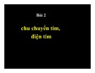 Bài giảng Hệ tuần hoàn